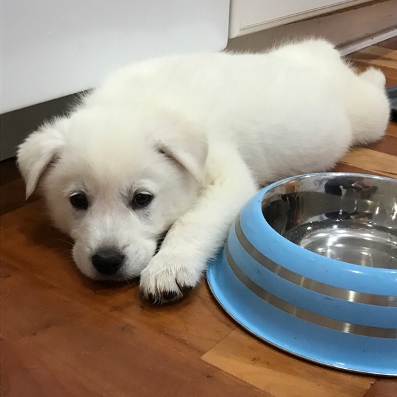 C’est moi, Maggie 😊 - Picture 4 of 6